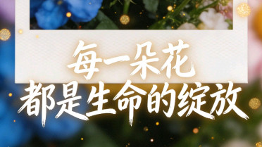 伤感的视频，写给无法在一起的人诗句