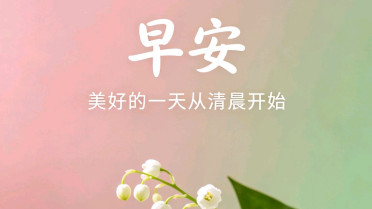 祝愿每天好心情的诗句,仙气十足高雅的诗句