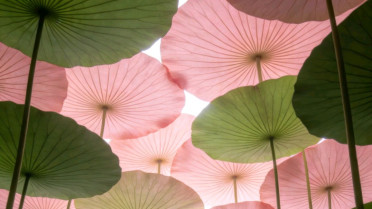 高情商幽默万能句，开心的高级替换词