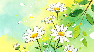 开心的一天心情美美哒，女性力量金句