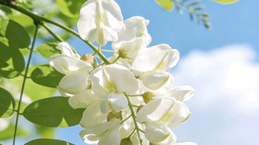 何须春风怜花意,仍是人间一少年，形容开心的四字词