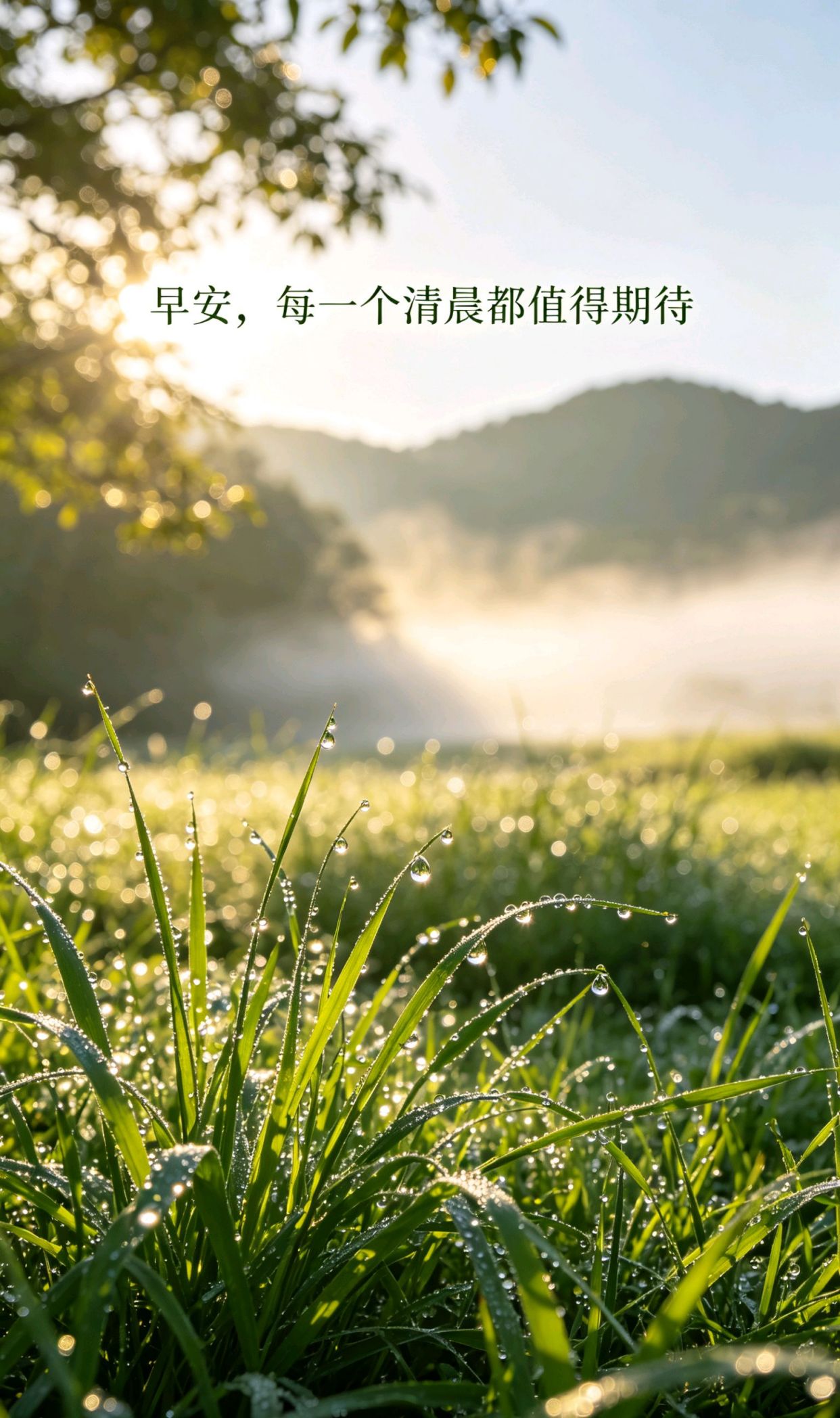 早安励志语录精选115句，一二三年级好词好句