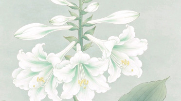 高情商幽默撩女生情话，超有意境的古风句子