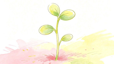 5月20日最暖心短句，人到中年,高情商发朋友圈