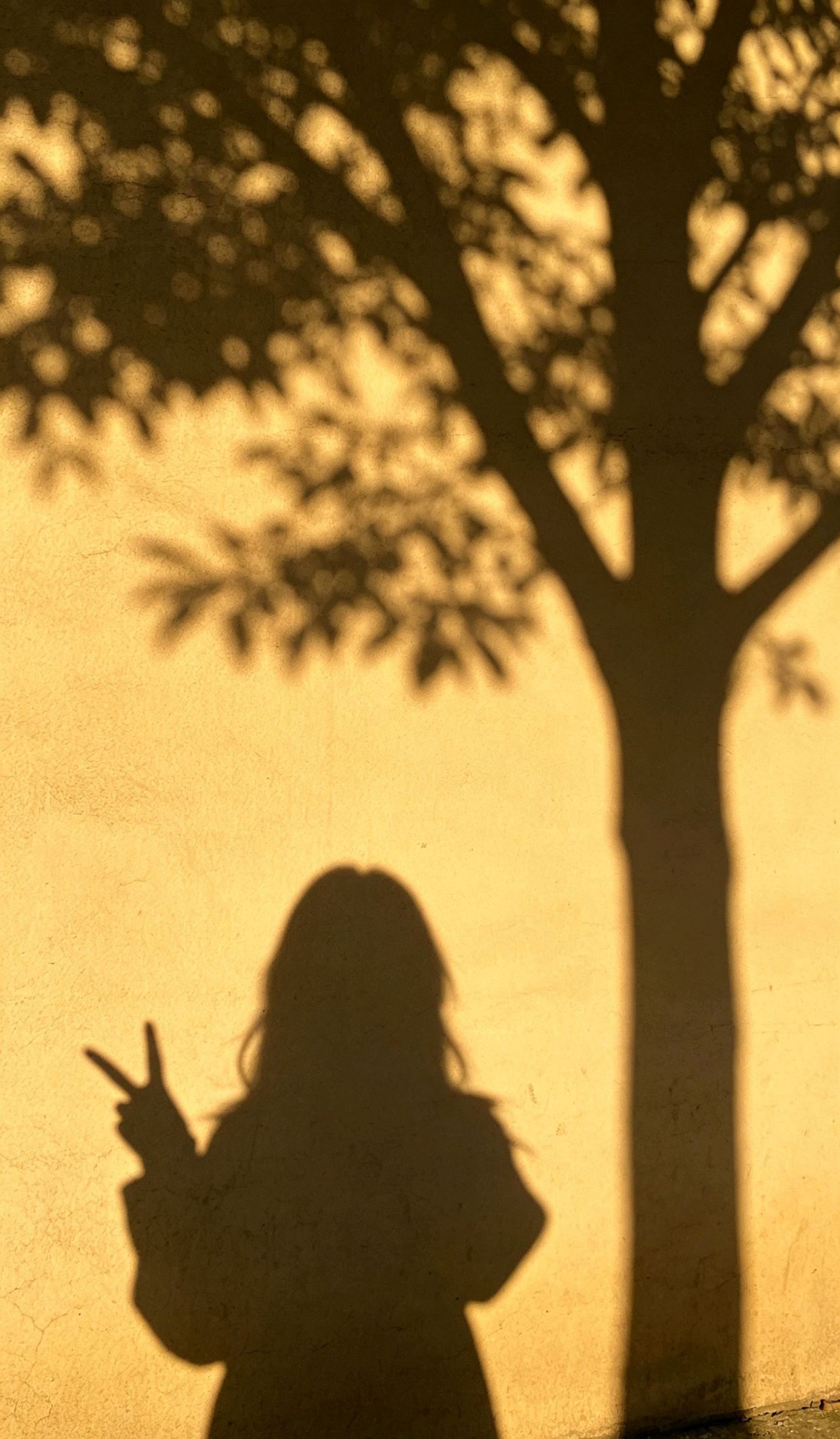 坚强熬过坎坷的女人的说说，点赞精辟一句话